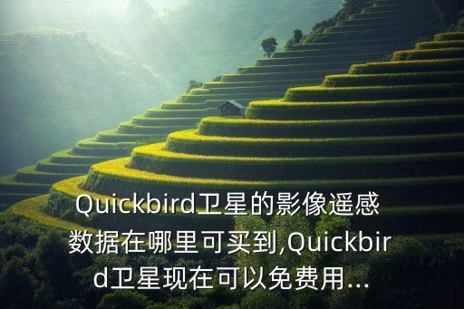 Quickbird衛(wèi)星的影像遙感 數(shù)據(jù)在哪里可買到,Quickbird衛(wèi)星現(xiàn)在可以免費用...