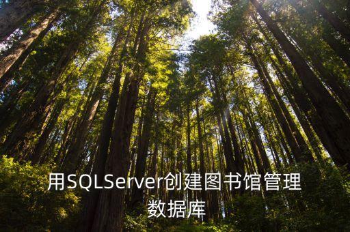 用SQLServer創(chuàng)建圖書館管理 數(shù)據(jù)庫