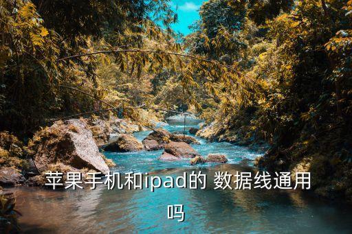 蘋果充電線 數(shù)據(jù)線嗎