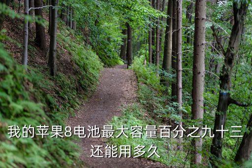 iphone8待機數(shù)據(jù)