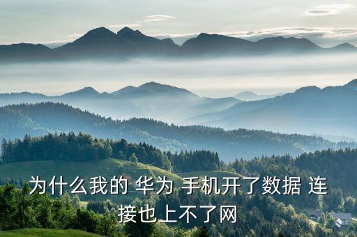 華為手機數(shù)據(jù)連接不上怎么回事