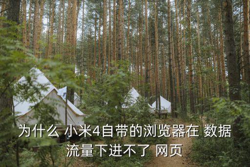 為什么 小米4自帶的瀏覽器在 數(shù)據(jù)流量下進(jìn)不了 網(wǎng)頁