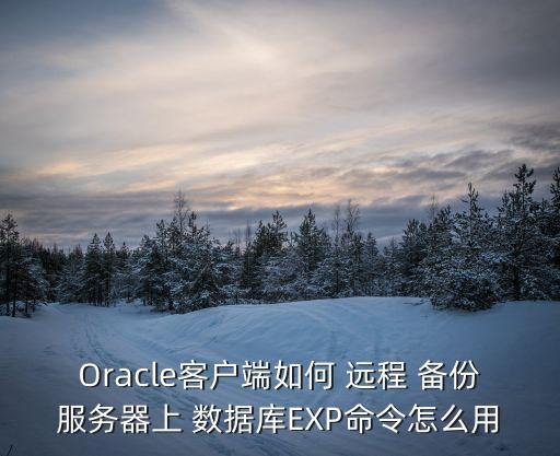 Oracle客戶端如何 遠(yuǎn)程 備份服務(wù)器上 數(shù)據(jù)庫(kù)EXP命令怎么用
