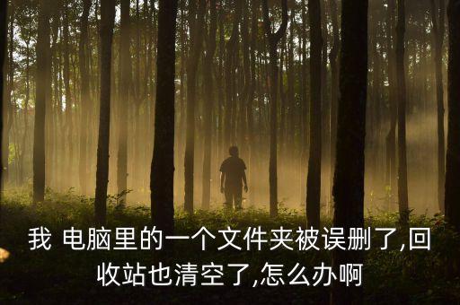 我 電腦里的一個(gè)文件夾被誤刪了,回收站也清空了,怎么辦啊