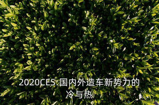 2020CES:國(guó)內(nèi)外造車(chē)新勢(shì)力的冷與熱