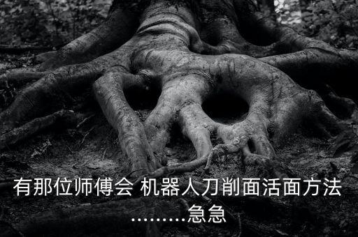 有那位師傅會 機器人刀削面活面方法………急急