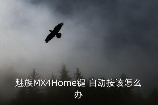 魅族MX4Home鍵 自動按該怎么辦