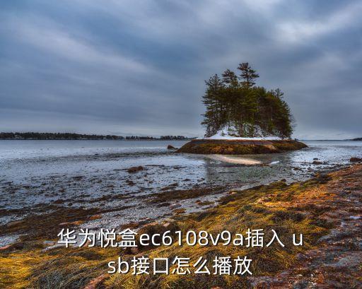 華為悅盒ec6108v9a插入 usb接口怎么播放