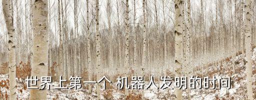 世界上第一個(gè) 機(jī)器人發(fā)明的時(shí)間