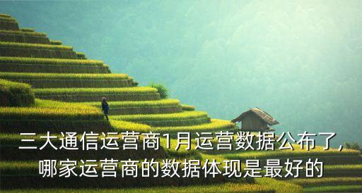 三大通信運(yùn)營(yíng)商1月運(yùn)營(yíng)數(shù)據(jù)公布了,哪家運(yùn)營(yíng)商的數(shù)據(jù)體現(xiàn)是最好的