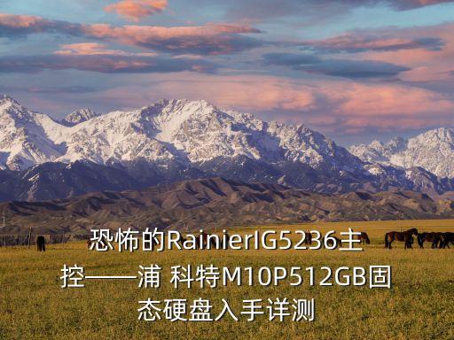 恐怖的RainierIG5236主控——浦 科特M10P512GB固態(tài)硬盤入手詳測