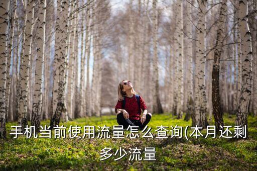 手機(jī)當(dāng)前使用流量怎么查詢(本月還剩多少流量