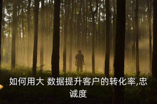 如何用大 數(shù)據(jù)提升客戶的轉(zhuǎn)化率,忠誠度