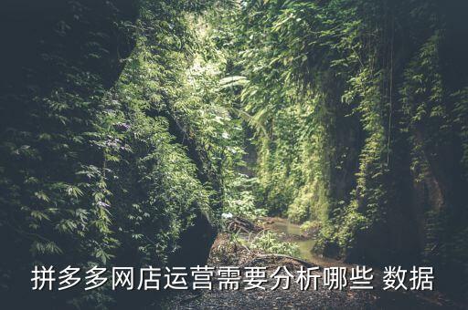 拼多多網(wǎng)店運營需要分析哪些 數(shù)據(jù)