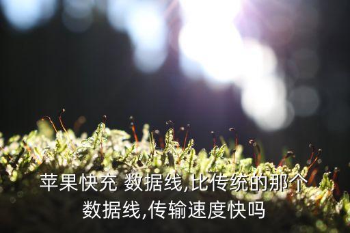  蘋果快充 數(shù)據(jù)線,比傳統(tǒng)的那個 數(shù)據(jù)線,傳輸速度快嗎