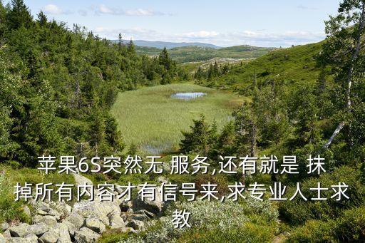 蘋(píng)果6S突然無(wú) 服務(wù),還有就是 抹掉所有內(nèi)容才有信號(hào)來(lái),求專(zhuān)業(yè)人士求教