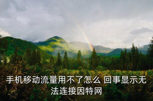 手機(jī)移動(dòng)流量用不了怎么 回事顯示無法連接因特網(wǎng)