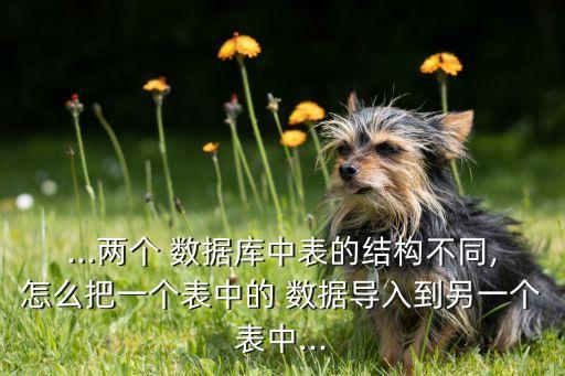 ...兩個 數(shù)據(jù)庫中表的結(jié)構(gòu)不同,怎么把一個表中的 數(shù)據(jù)導(dǎo)入到另一個表中...
