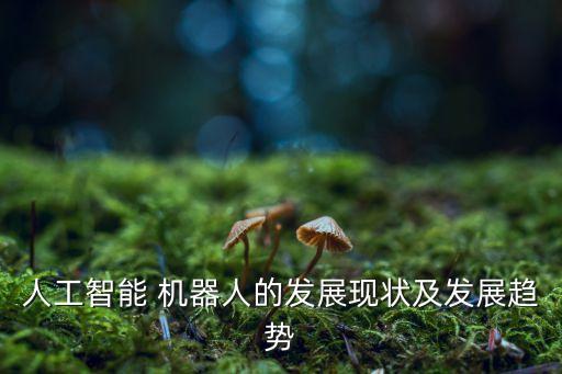 人工智能 機(jī)器人的發(fā)展現(xiàn)狀及發(fā)展趨勢(shì)