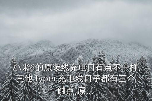  小米6的原裝線充電口有點不一樣,其他 typec充電線口子都有三個觸點,原...