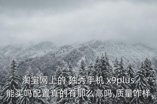 獨(dú)秀x9plus真實(shí)數(shù)據(jù)
