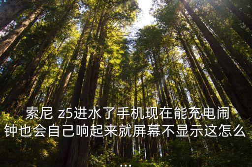  索尼 z5進水了手機現(xiàn)在能充電鬧鐘也會自己響起來就屏幕不顯示這怎么...