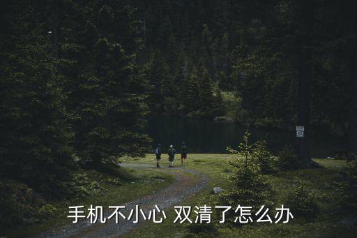 雙清手機(jī)數(shù)據(jù)還有,vivo如何雙清手機(jī)數(shù)據(jù)
