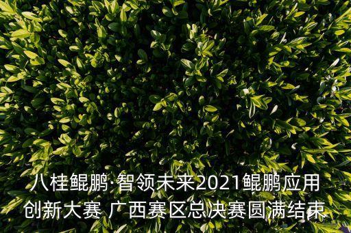 廣西大數(shù)據(jù)發(fā)展規(guī)劃,廣西鄉(xiāng)村旅游發(fā)展規(guī)劃