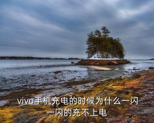  vivo手機充電的時候為什么一閃一閃的充不上電