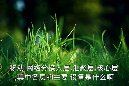 移動(dòng) 網(wǎng)絡(luò)分接入層,匯聚層,核心層,其中各層的主要 設(shè)備是什么啊