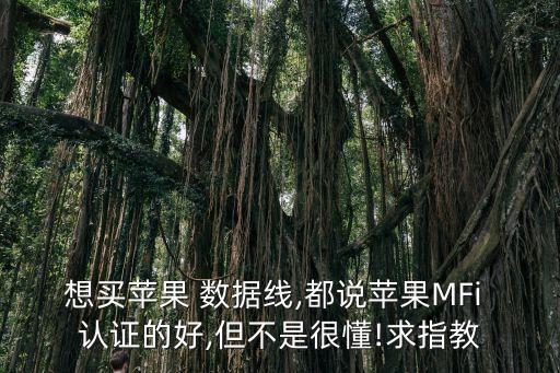 想買蘋果 數(shù)據(jù)線,都說(shuō)蘋果MFi 認(rèn)證的好,但不是很懂!求指教