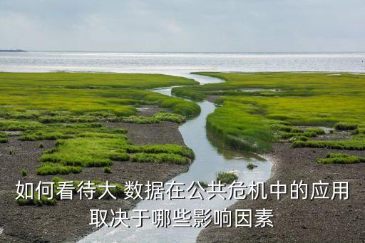 如何看待大 數(shù)據(jù)在公共危機(jī)中的應(yīng)用取決于哪些影響因素