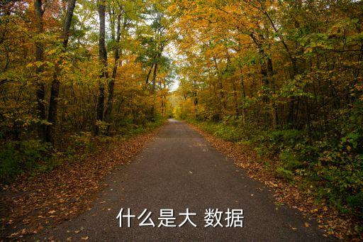 什么是大 數(shù)據(jù)