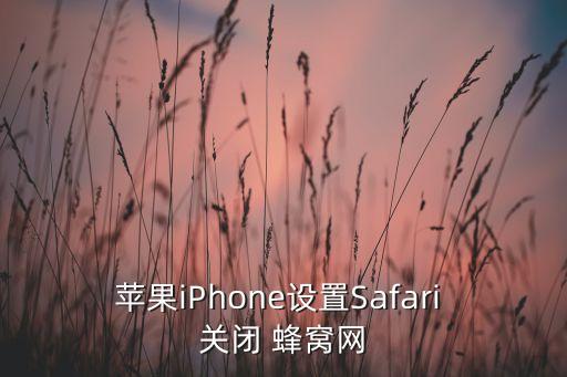 快速關(guān)閉蜂窩數(shù)據(jù),關(guān)閉允許切換蜂窩數(shù)據(jù)就沒(méi)網(wǎng)絡(luò)了