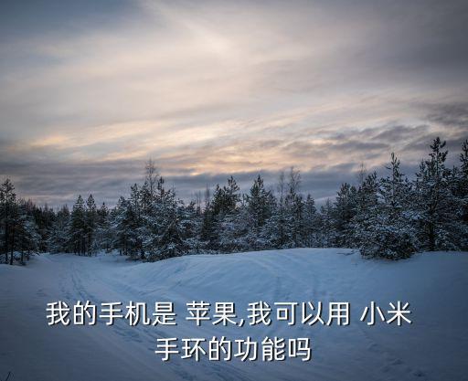 我的手機(jī)是 蘋果,我可以用 小米 手環(huán)的功能嗎