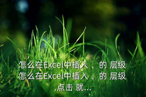 怎么在Excel中插入 、的 層級怎么在Excel中插入 、的 層級,點擊 就...
