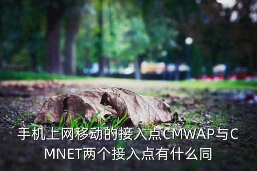 手機(jī)上網(wǎng)移動(dòng)的接入點(diǎn)CMWAP與CMNET兩個(gè)接入點(diǎn)有什么同