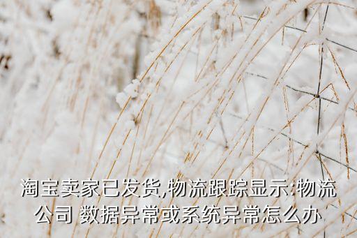 淘寶賣家已發(fā)貨,物流跟蹤顯示:物流公司 數(shù)據(jù)異常或系統(tǒng)異常怎么辦