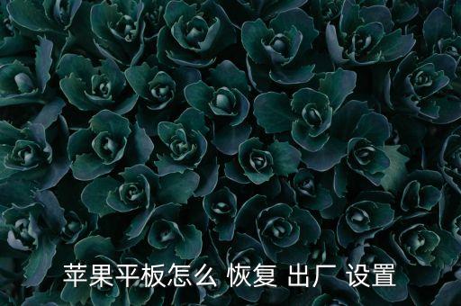 蘋(píng)果平板怎么 恢復(fù) 出廠 設(shè)置