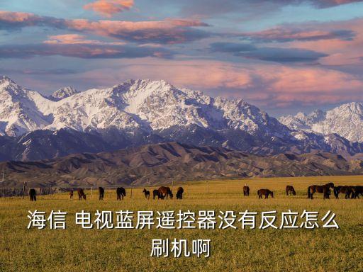  海信 電視藍(lán)屏遙控器沒有反應(yīng)怎么刷機(jī)啊