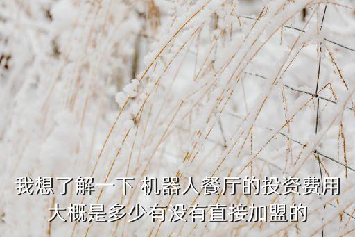 我想了解一下 機(jī)器人餐廳的投資費用大概是多少有沒有直接加盟的