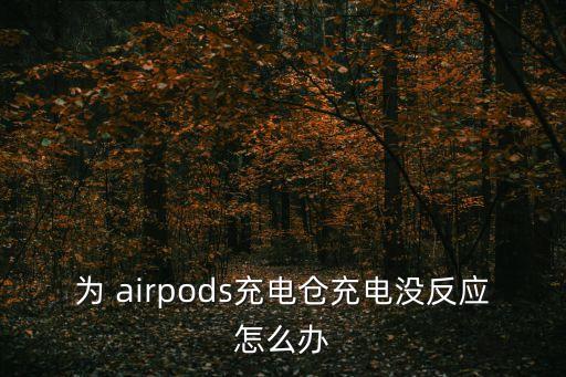 為 airpods充電倉充電沒反應(yīng)怎么辦
