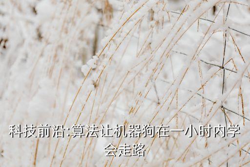 科技前沿:算法讓機(jī)器狗在一小時(shí)內(nèi)學(xué)會(huì)走路