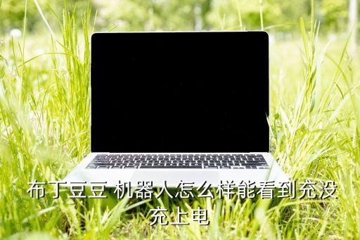  布丁豆豆 機(jī)器人怎么樣能看到充沒(méi)充上電