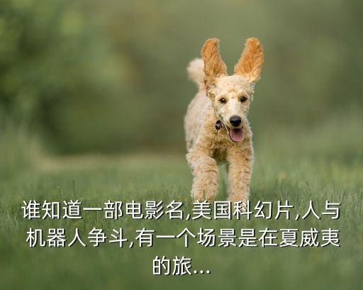 誰知道一部電影名,美國科幻片,人與 機器人爭斗,有一個場景是在夏威夷的旅...