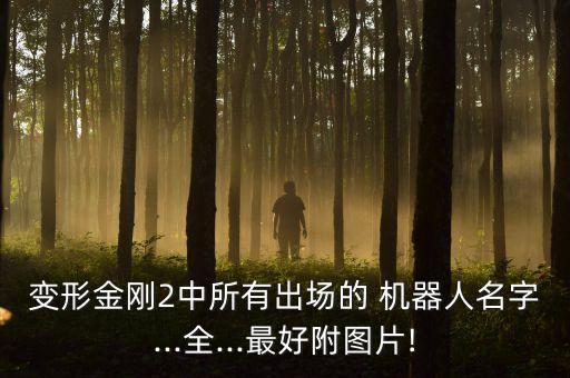變形金剛2中所有出場的 機(jī)器人名字...全...最好附圖片!