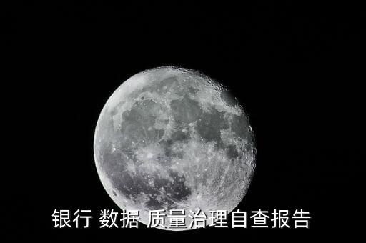 銀行 數(shù)據(jù) 質(zhì)量治理自查報(bào)告