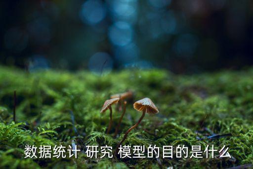 大數(shù)據(jù) 分析 研究 分析模型