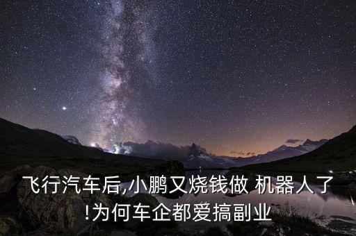 飛行汽車(chē)后,小鵬又燒錢(qián)做 機(jī)器人了!為何車(chē)企都愛(ài)搞副業(yè)