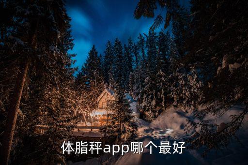 體脂秤app哪個最好